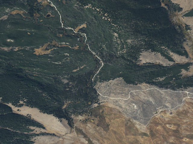 Aerial image of Trees Down And Swamp
