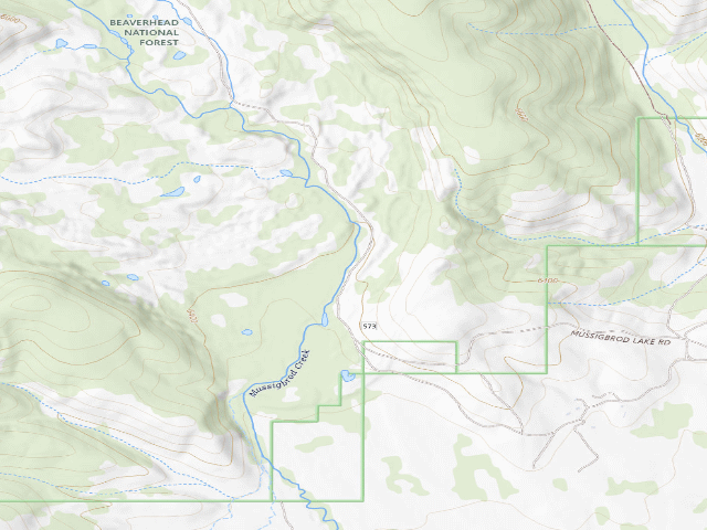 USGS topographic map of Trees Down And Swamp
