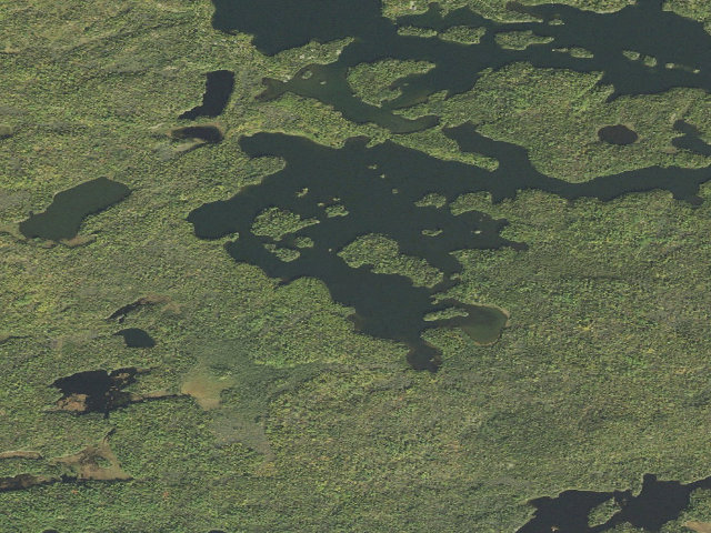 Aerial image of Triangle Lake Site 1
