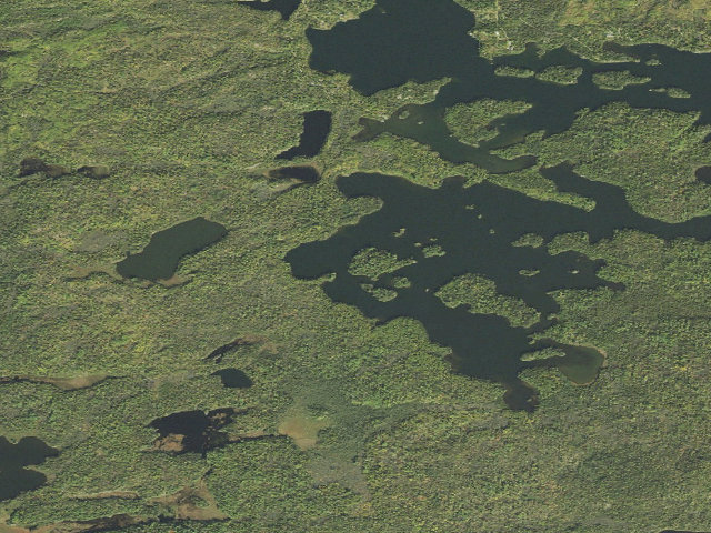Aerial image of Triangle Lake Site 2