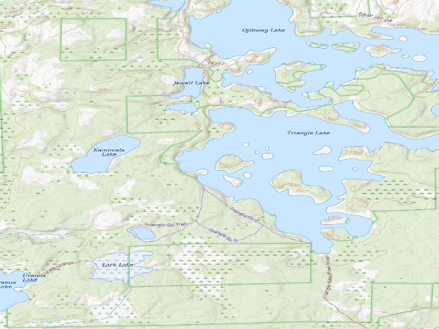 USGS topographic map of Triangle Lake Site 2