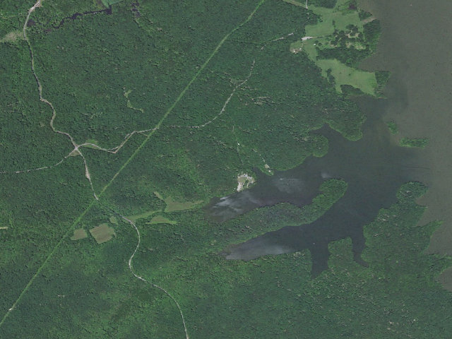 Aerial image of Trigg County