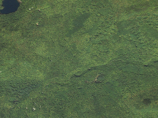 Aerial image of Tripoli Rd