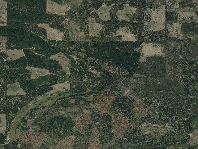 Aerial image of Trout Creek Meadow (Cg-F)