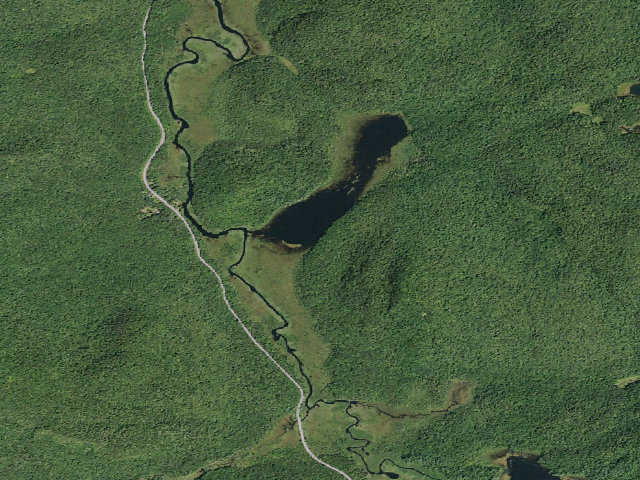 Aerial image of Trout Lake #1 (Silver Lake Wilderness)