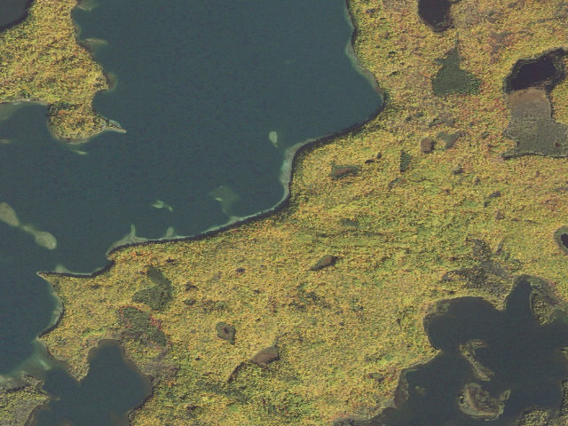 Aerial image of Trout Lake Beach Campsite M34