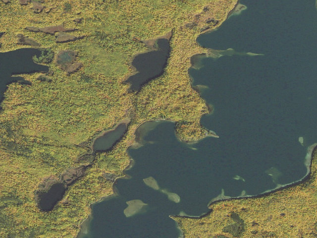 Aerial image of Trout Lake M32