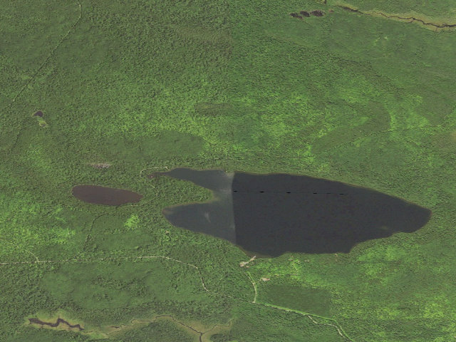 Aerial image of Trout Lake