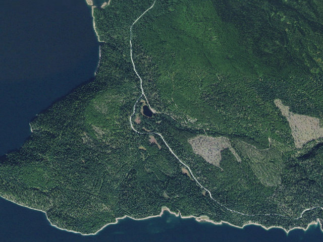 Aerial image of Trout Lake South