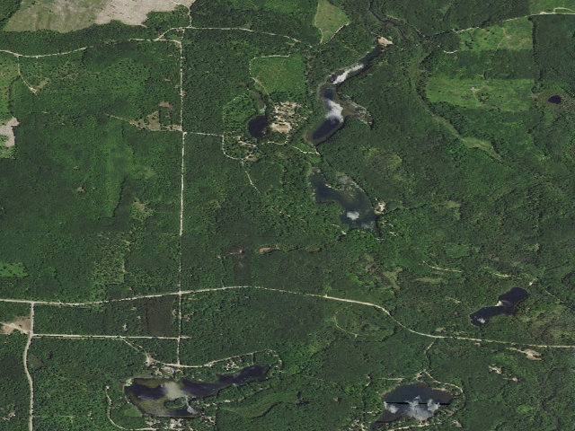 Aerial image of Trout Lake State Forest Campground