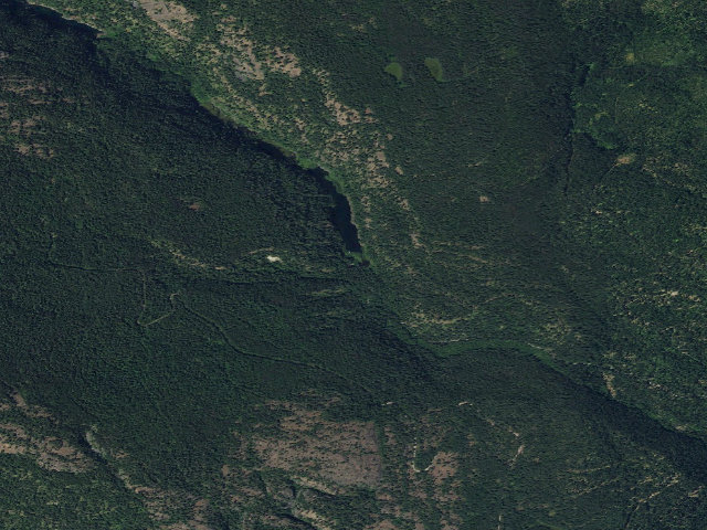 Aerial image of Trout Lake