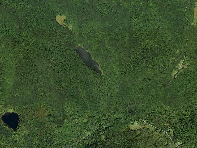 Aerial image of Trout Pond Primitive Campsite [DEC #16452] (Delaware Wild Forest)