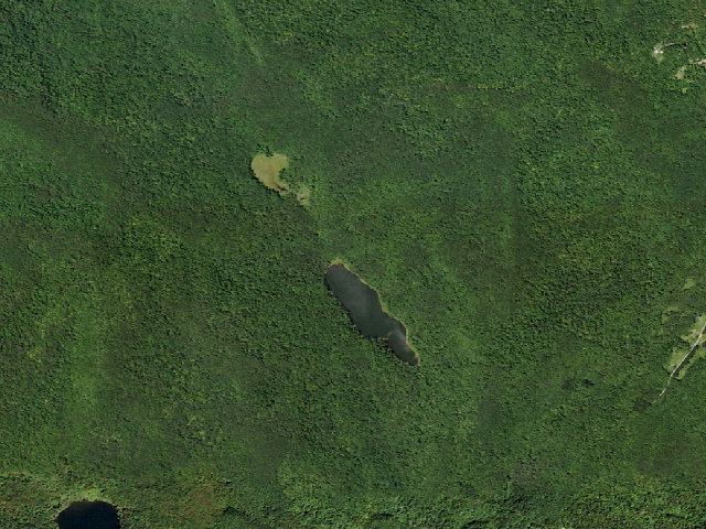 Aerial image of Trout Pond Primitive Campsite [DEC #16457] (Delaware Wild Forest)