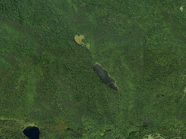 Aerial image of Trout Pond Primitive Campsite [DEC #20966] (Delaware Wild Forest)