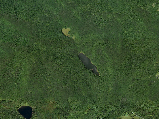 Aerial image of Trout Pond Primitive Campsite [DEC #20974] (Delaware Wild Forest)