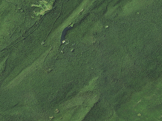 Aerial image of Trout Pond