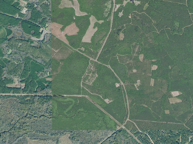 Aerial image of Tuckahoe WMA - Saxon Bay