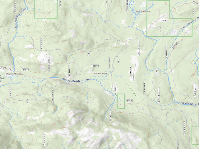 USGS topographic map of Tule Meadow