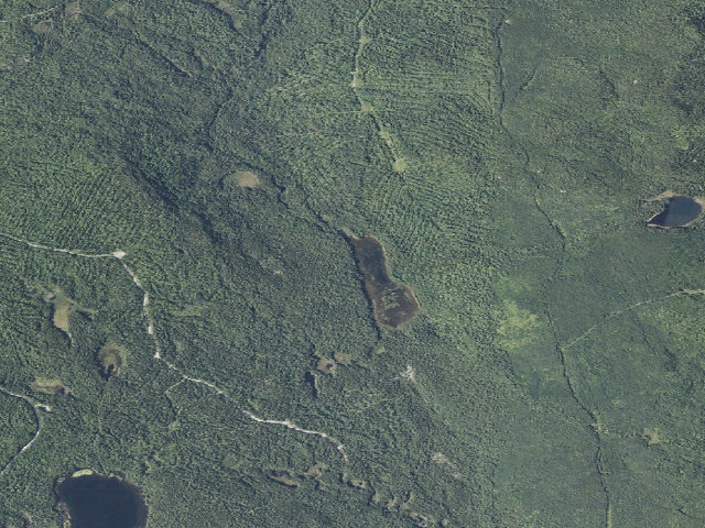Aerial image of Tumbledown Dick Pond (Nahmakanta Public Land)