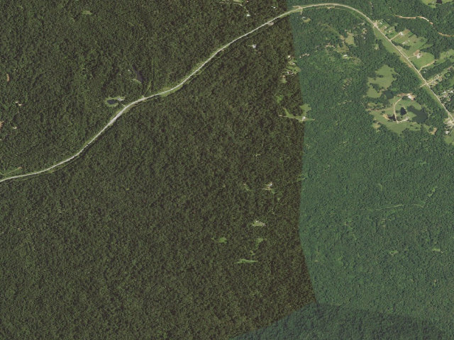 Aerial image of Tunica Hills WMA camping area -- South Tract