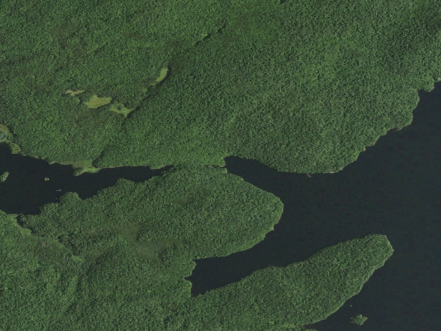 Aerial image of Tupper Lake Campsite #12 (Horseshoe Lake Wild Forest)