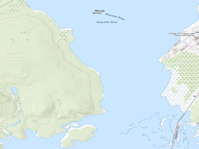 USGS topographic map of Tupper Lake Site #1 (Horseshoe Lake Wild Forest)
