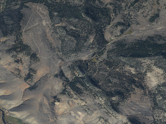 Aerial image of Turd Tree