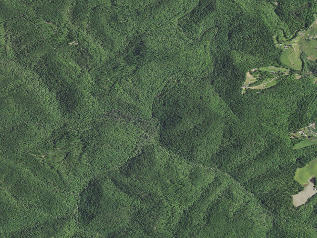 Aerial image of Turkey Foot Campground