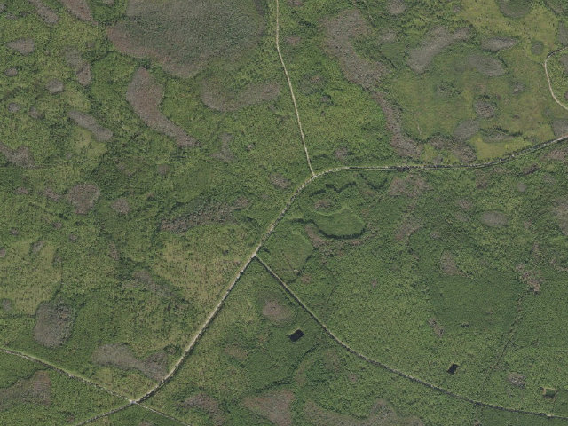Aerial image of Turkey Run Primitive Camp