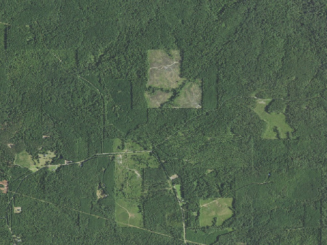 Aerial image of Turkey Trot Hunter
