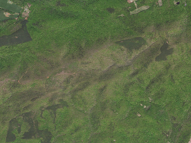 Aerial image of Turkeycock Mountain WMA