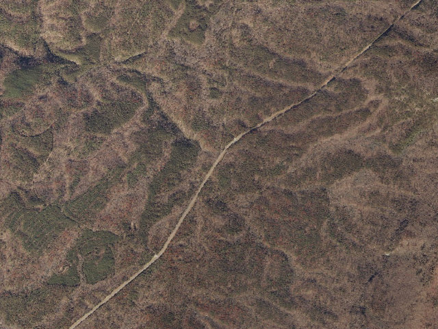 Aerial image of Turnipseed Hunter Camp