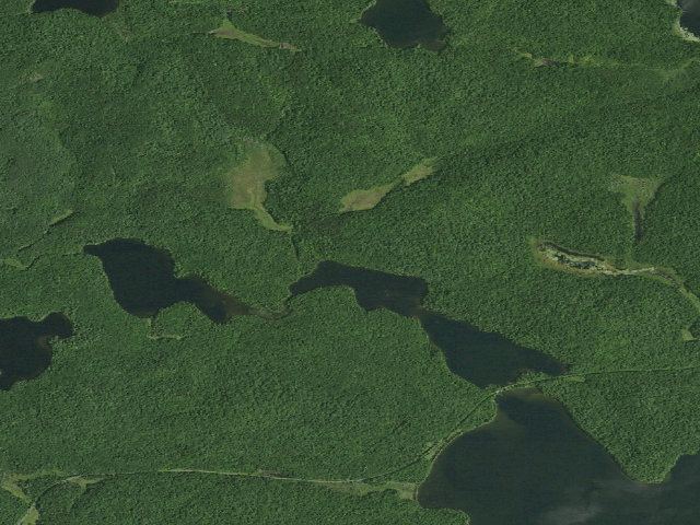 Aerial image of Turtle Pond Site 1 (Saint Regis Canoe Area)