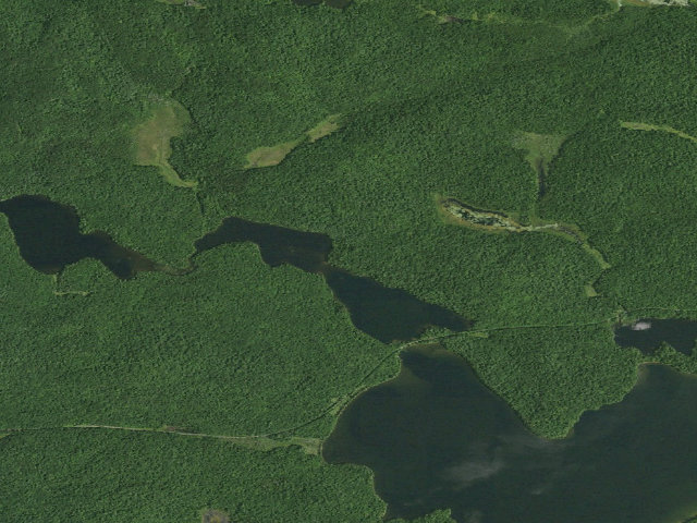 Aerial image of Turtle Pond Site 2 (Saint Regis Canoe Area)