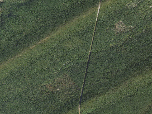 Aerial image of Tuscarora State Forest roadside campsite 004