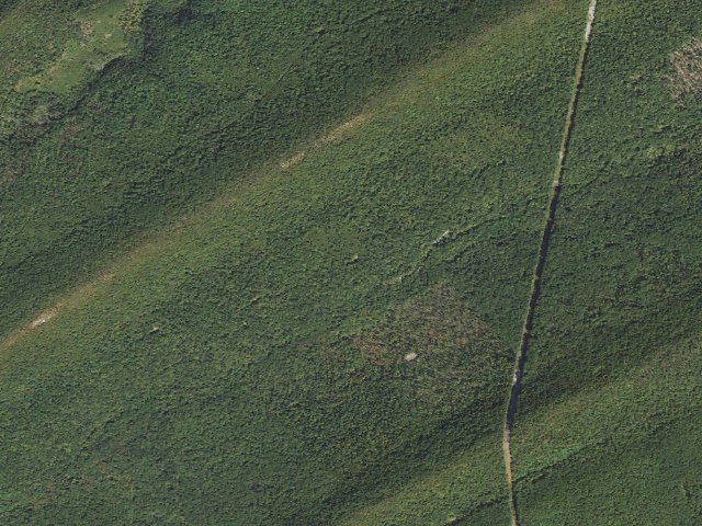 Aerial image of Tuscarora State Forest roadside campsite 005