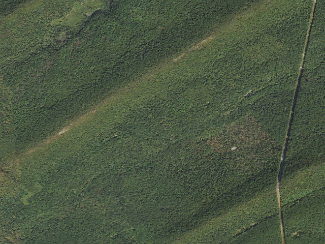 Aerial image of Tuscarora State Forest roadside campsite 006