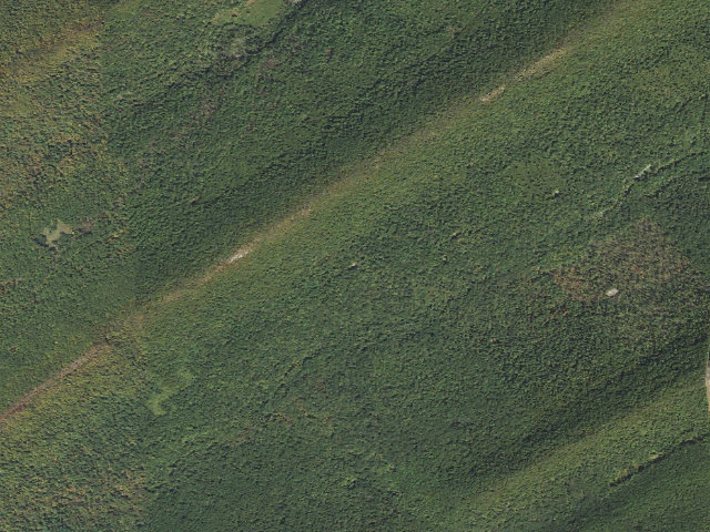 Aerial image of Tuscarora State Forest roadside campsite 007