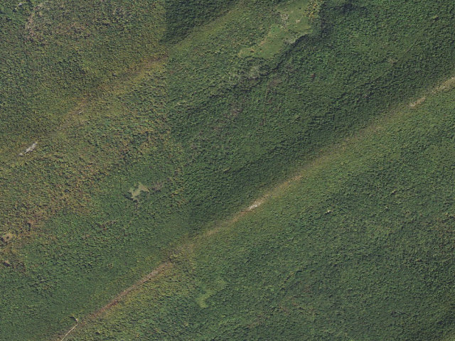 Aerial image of Tuscarora State Forest roadside campsite 008