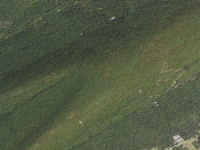 Aerial image of Tuscarora State Forest roadside campsite 009