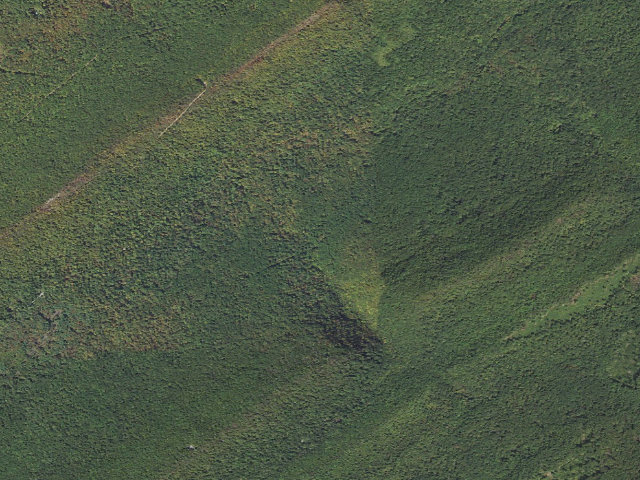 Aerial image of Tuscarora State Forest roadside campsite 011