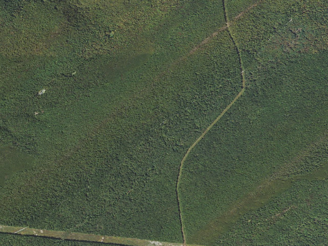 Aerial image of Tuscarora State Forest roadside campsite 013