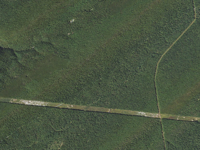 Aerial image of Tuscarora State Forest roadside campsite 014