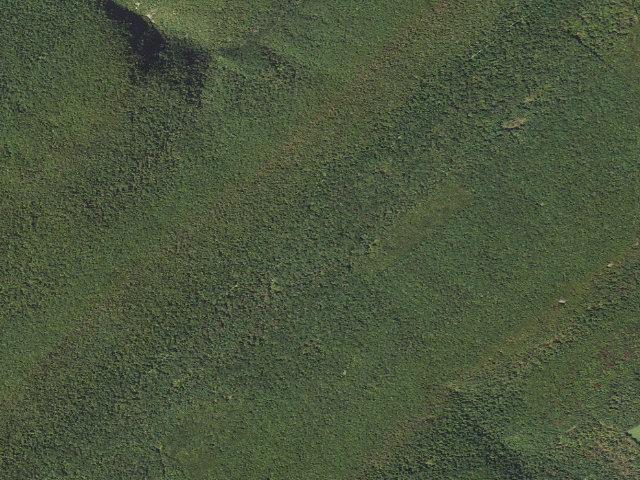 Aerial image of Tuscarora State Forest roadside campsite 017
