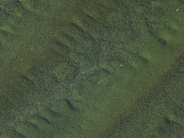 Aerial image of Tuscarora State Forest roadside campsite 020