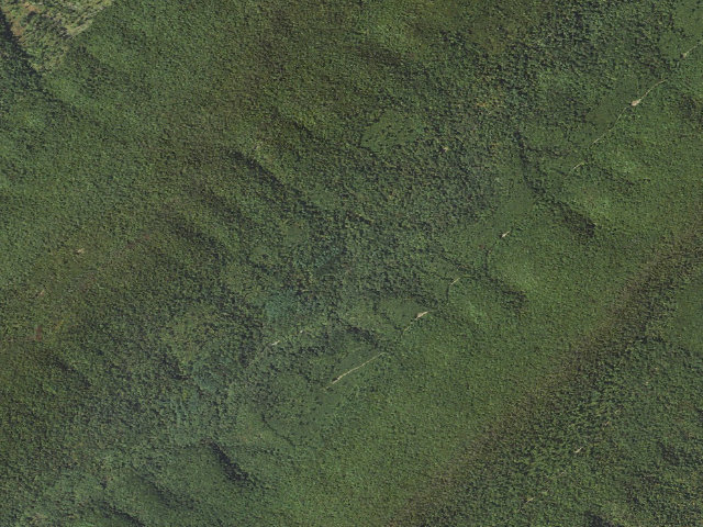 Aerial image of Tuscarora State Forest roadside campsite 021
