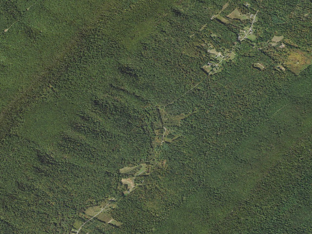 Aerial image of Tuscarora State Forest roadside campsite 024