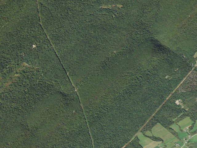 Aerial image of Tuscarora State Forest roadside campsite 026