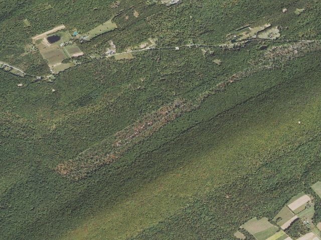 Aerial image of Tuscarora State Forest roadside campsite 040