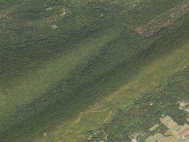 Aerial image of Tuscarora State Forest roadside campsite 043